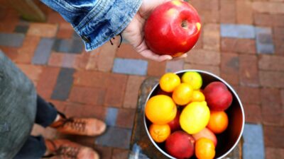 how-long-do-apples-last-in-the-fridge
