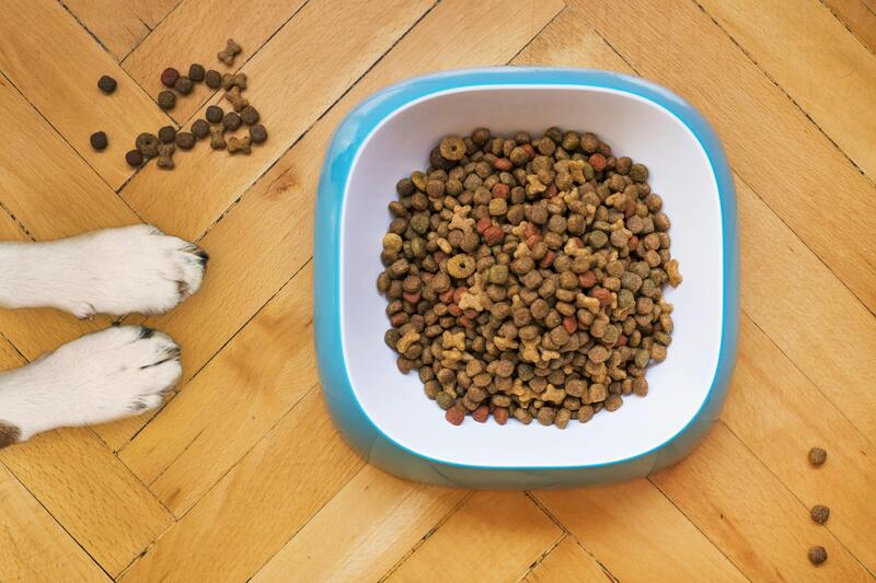can-you-buy-dog-food-with-ebt