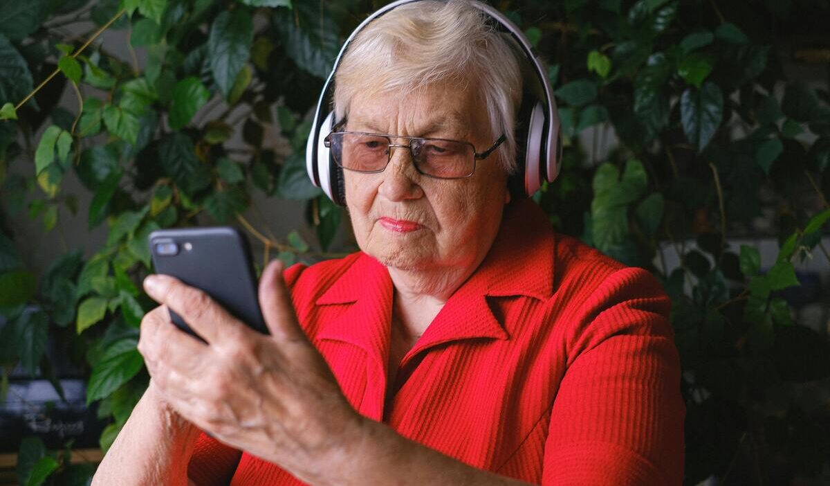 how-to-check-ebt-application-status