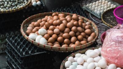 how-long-do-farm-fresh-eggs-last-unwashed