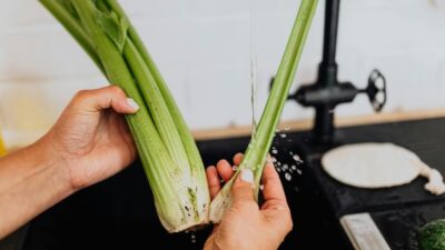 how-long-does-cut-celery-last-in-the-fridge