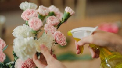how-long-do-flowers-last