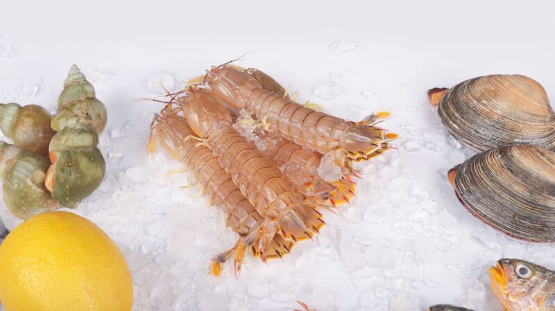 how-long-does-shrimp-last-in-the-fridge-2