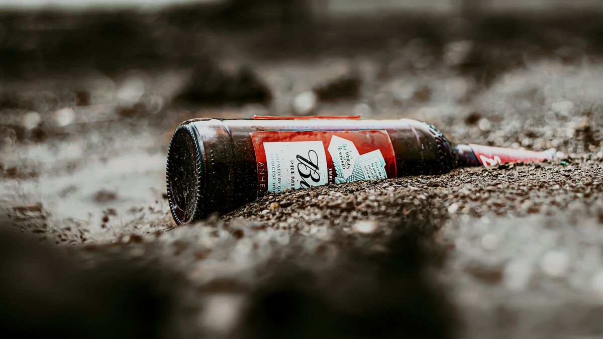how-long-does-canned-beer-last