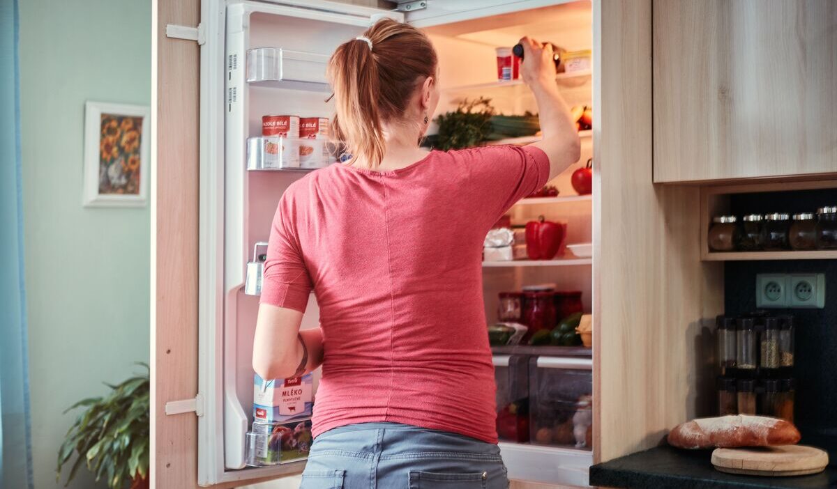 how-long-will-food-last-in-refrigerator-without-power