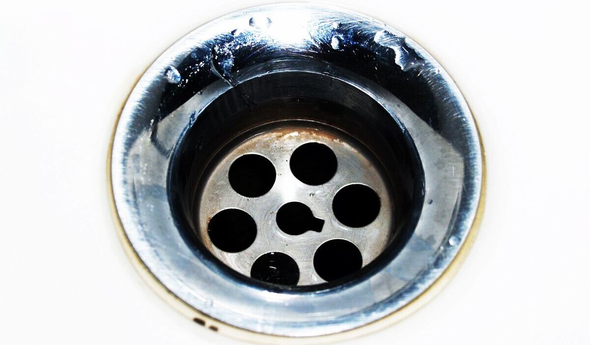 Do-drain-flies-indicate-a-bigger-problem