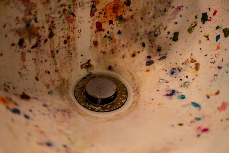 How to Get Rid of Drain Flies