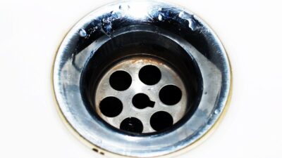Do-drain-flies-indicate-a-bigger-problem