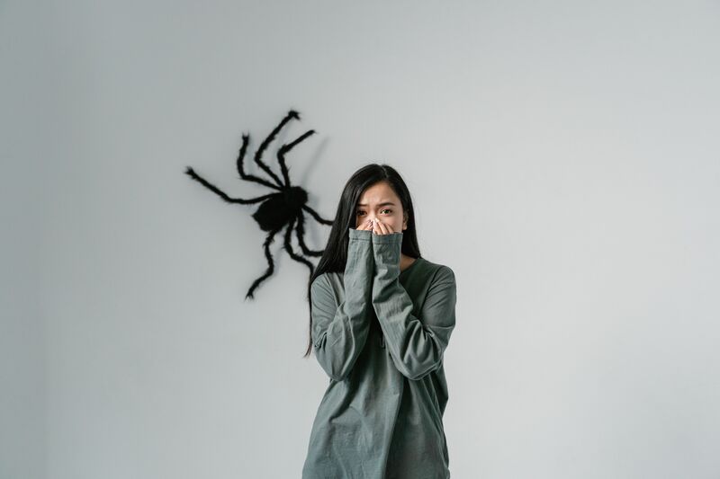 How to Get Rid of Spiders: Proven Ways to Keep Them Out of Your Home