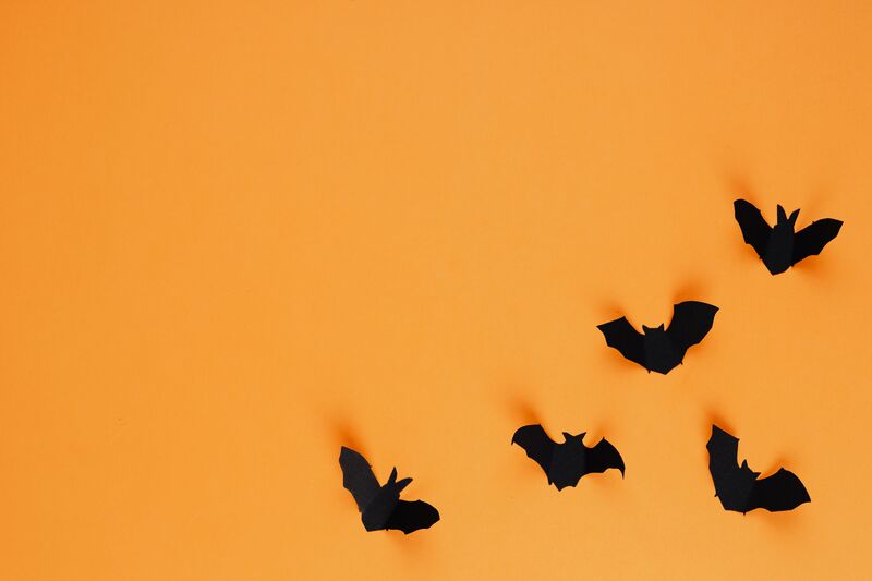 how-to-get-rid-of-bats