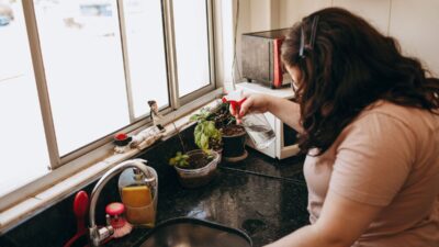 how-to-get-rid-of-gnats-in-the-house