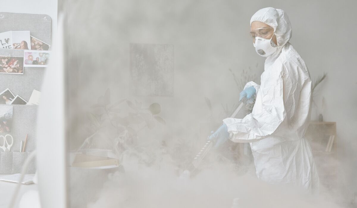 how-to-get-rid-of-gnats-in-the-house-quickly