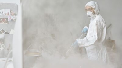 how-to-get-rid-of-gnats-in-the-house-quickly