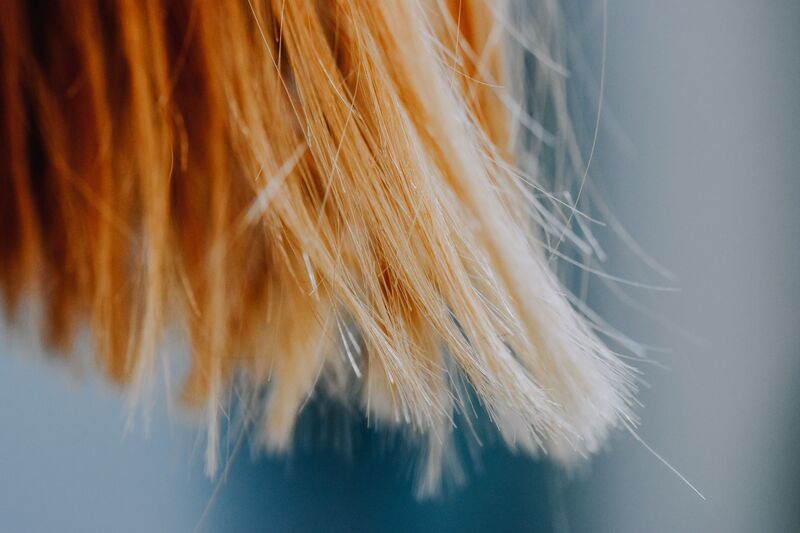 how-to-get-rid-of-split-ends